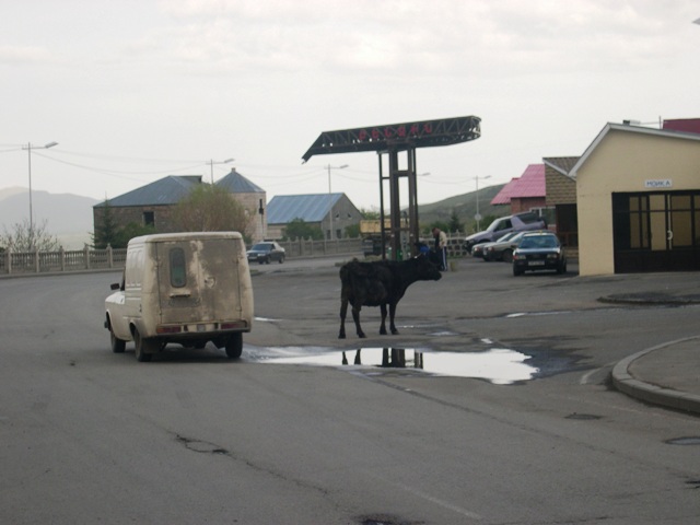 Armėnijoje kartais ir karvės vaikšto gatvėmis, Armėnija
