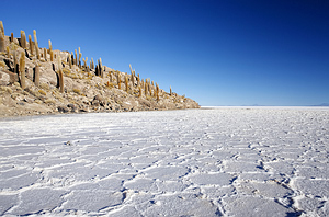 Bolivija_Salar De Uyuni