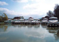 Saone