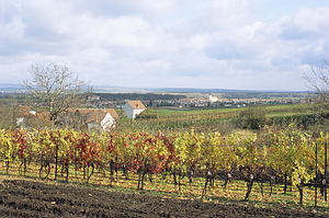Slovacko regiono vynuogynai, Čekija