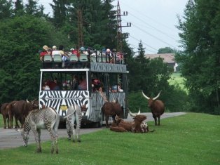 Zoologijos sodas