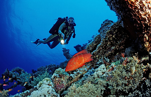 Ras Mohammed National Park, Egiptas