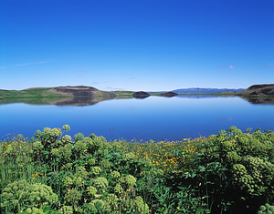 Islandija_Myvatn