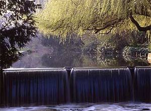 Londonas, Modern Hall Park