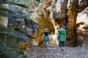 Žygiavimas Larapinta Trail, Australija