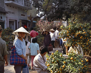 Hanojus, Vietnamas
