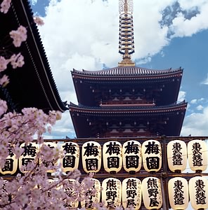 Hanami Japonijoje