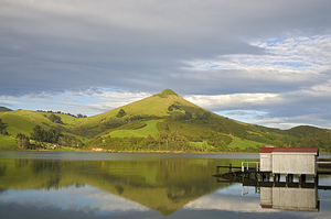 Otago peninsula. Naujoji Zelandija
