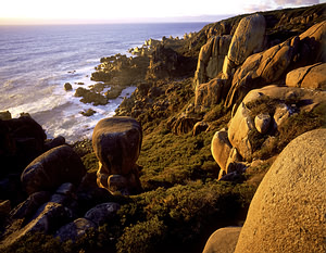 West Coast. Tasmanija. Australija
