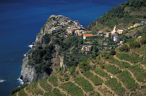 Corniglia