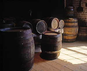 Guinness Storehouse, Dublinas