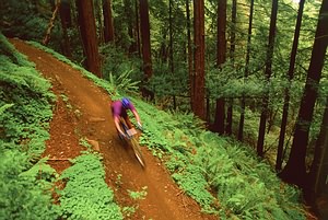 Kalnų dviračiais po Marin County, JAV