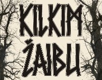 festivalis_KILKIM ŽAIBU