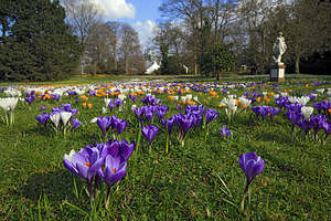 Palmengarten, Frankfurtas