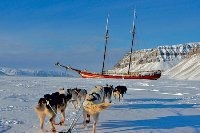 huskies
