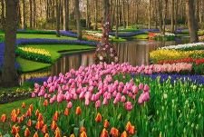 Keukenhof parkas