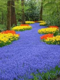 Keukenhof parkas