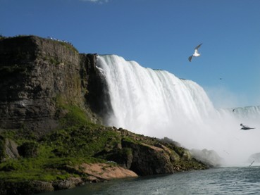 Niagara