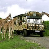 Serengečio parkas