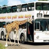 Serengečio parkas