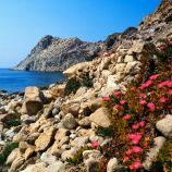 Gamtos kontrastai Sardinijoje