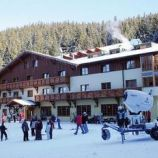 Viešbutis Ski & Wellness Družba 4*