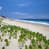 Smelėti Mozambiko paplūdimiai