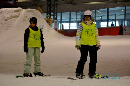 dienine-slid-6