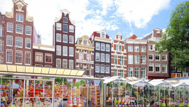 amsterdamas-2