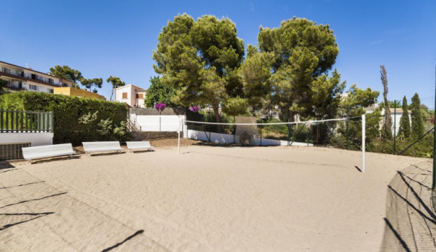 GLOBALES MIMOSA 4*