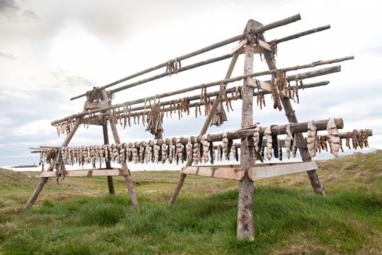 Islandija-