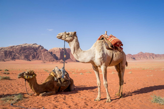 Jordanija-