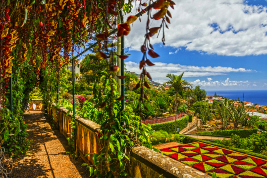 Madeira