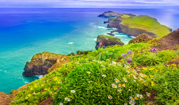 Madeira