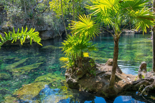 Meksika