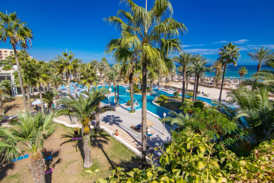 riadh-palms-8