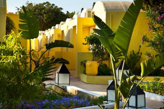 samira-club-5
