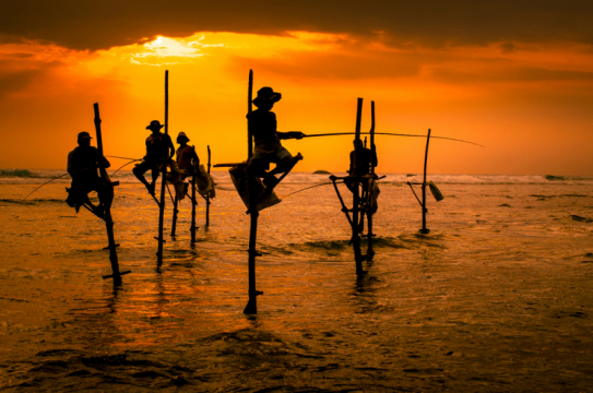 shutterstock_250430653(1)_Sri Lanka