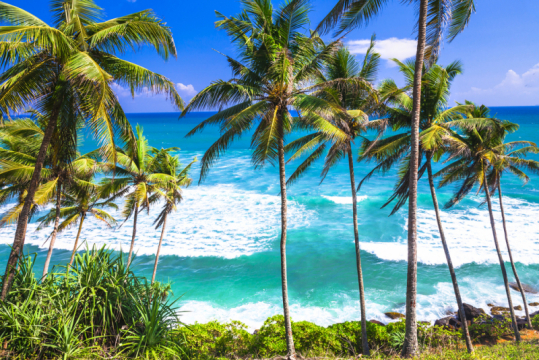 shutterstock_329205959(1)_beaches of Sri Lanka (1)