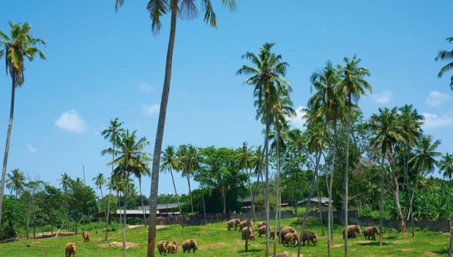 sri-lanka-3