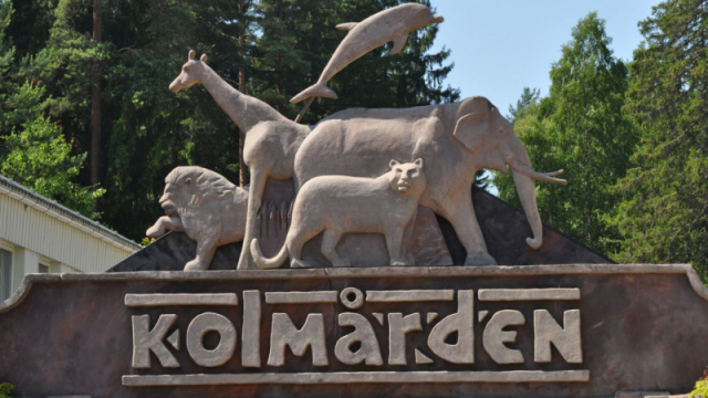 svedijos-pramogu-parkai-3